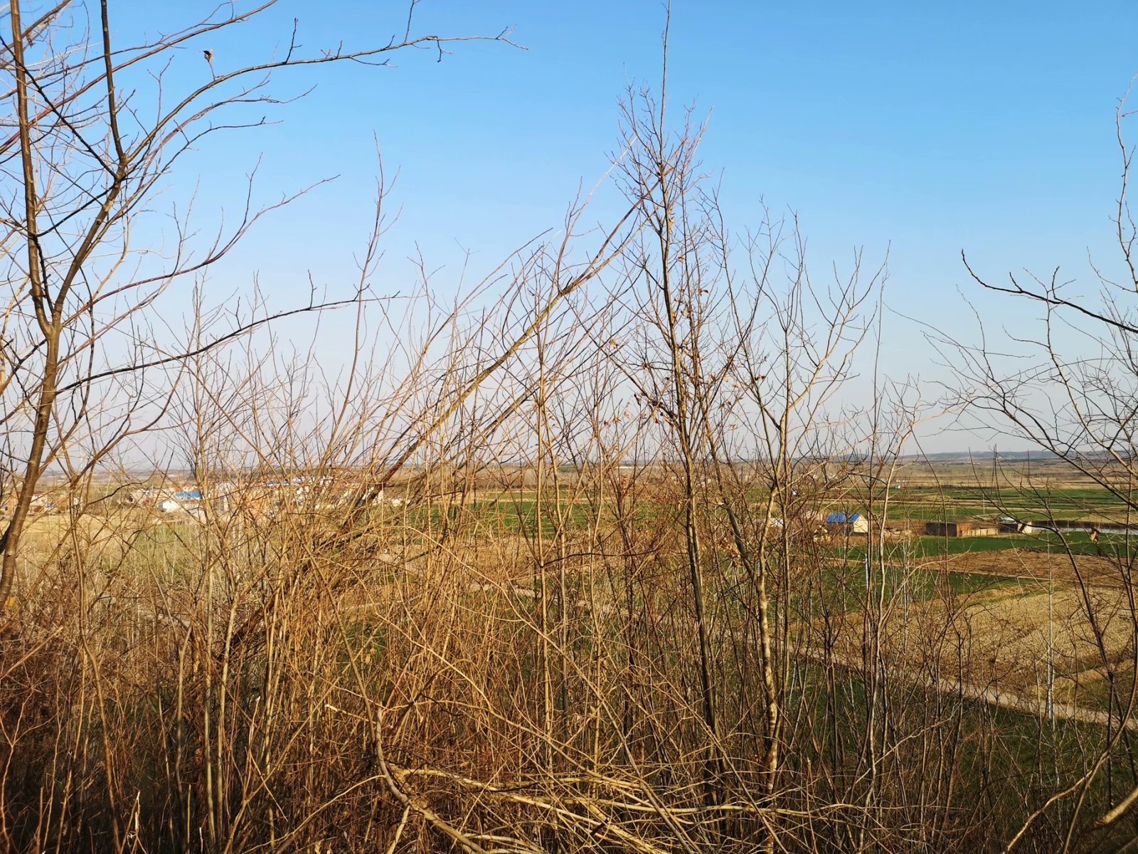 摩托周边旮旯游——探访明光法华禅庵塔