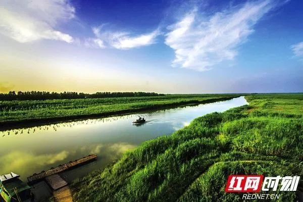 东西湖区高质量发展,湖镇高质量发展