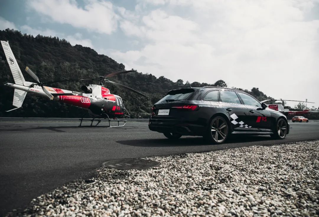 这才是真正的人生赢家,这才是真正的人参枸杞茶