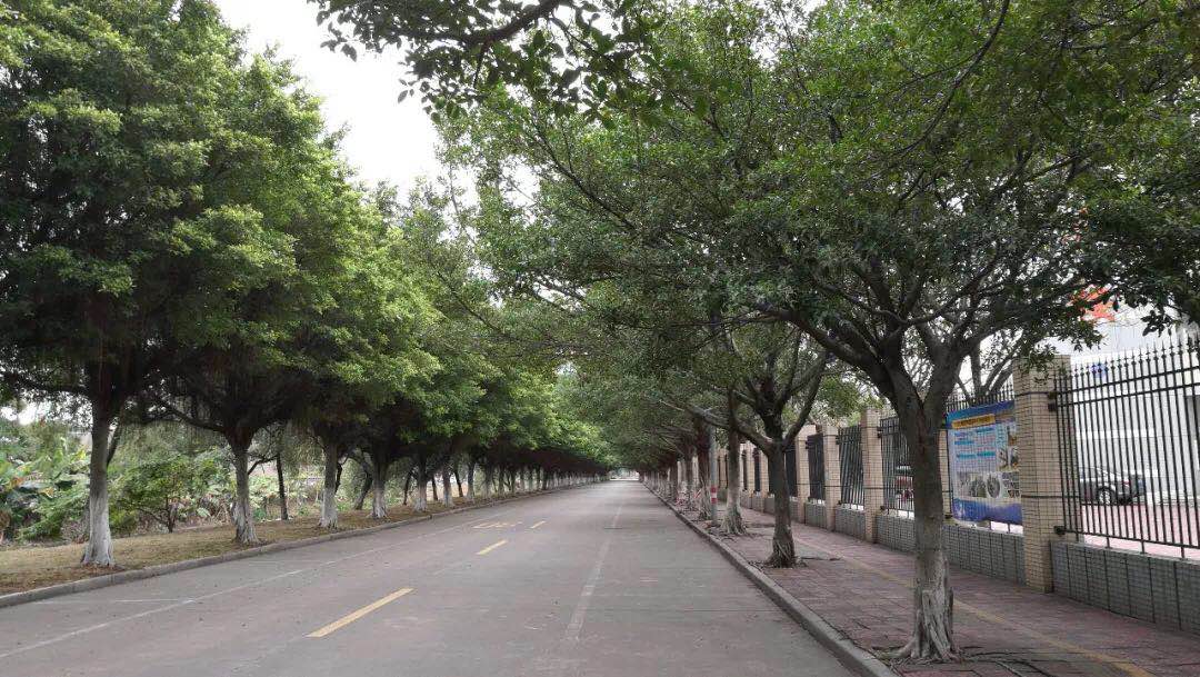 勒流职业技术学校怎样,勒流职业技术学校公众号