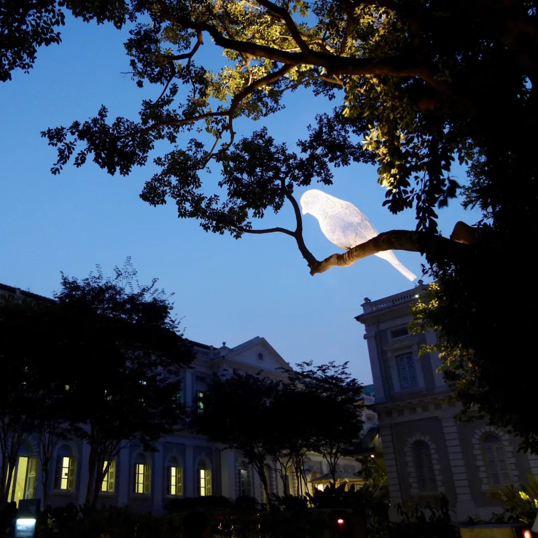 萌宠上阵，整个空间都奇趣了！