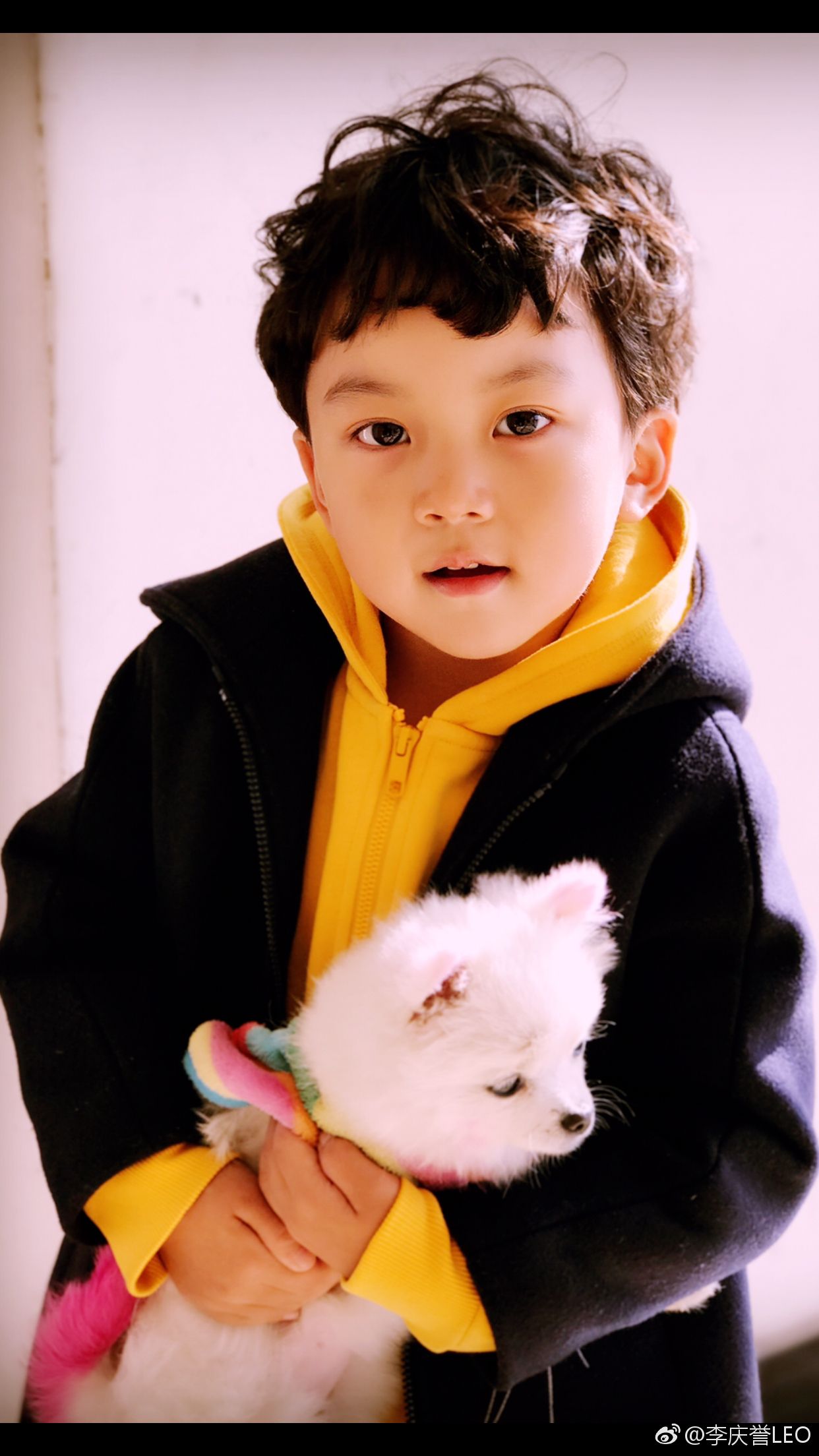 飞驰人生2为什么把张飞砍掉,飞驰人生张菲去哪了