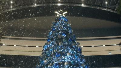 新加坡冻成狗,新加坡狂风暴雨来袭