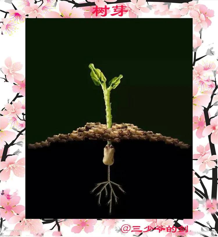 太美:她用裸体模特为宁乡人打造出一个斑斓的春天