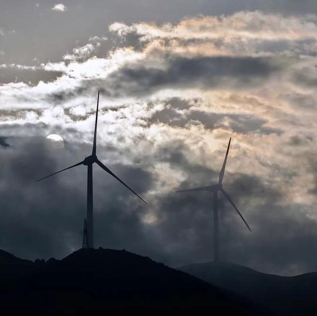 乌蒙大草原高山矮杜鹃,盘州市乌蒙大草原高山