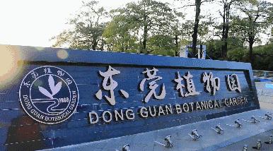 郑州春节周边景区免费景点大全,春节赏花的好去处