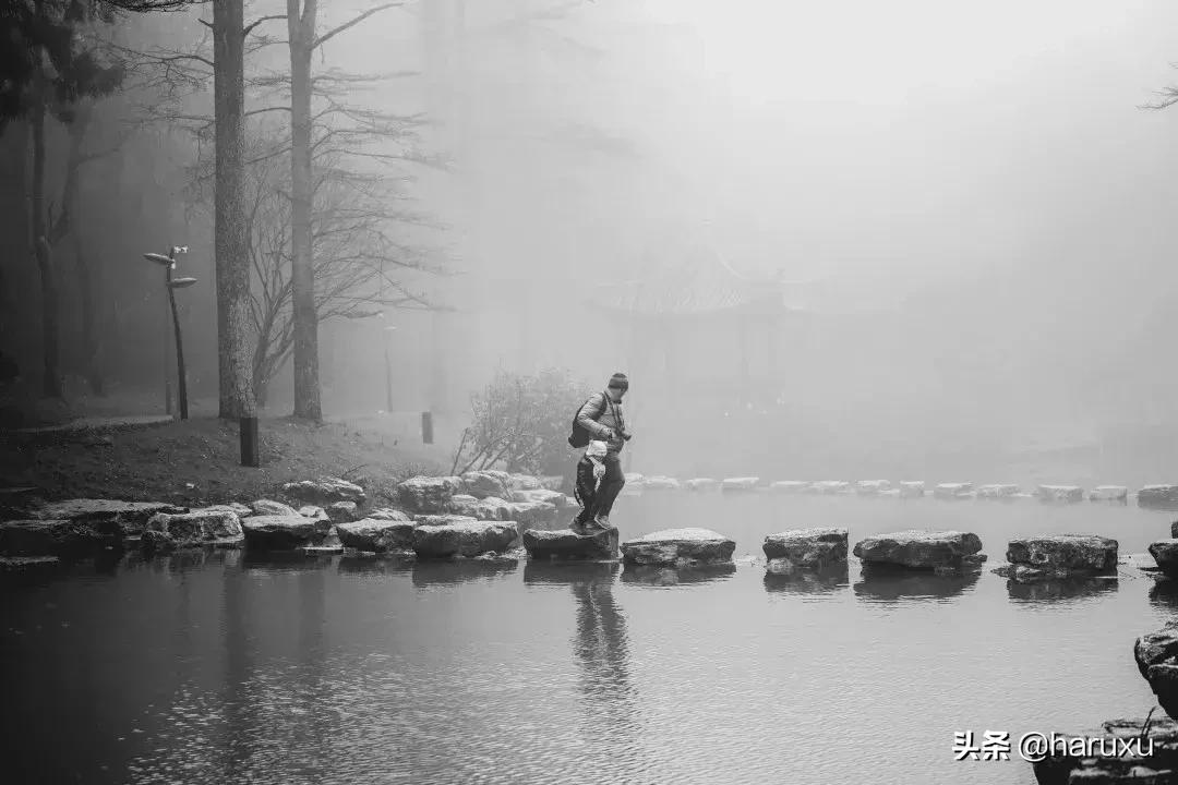 南方也能下雪吗,南方也能见到雪