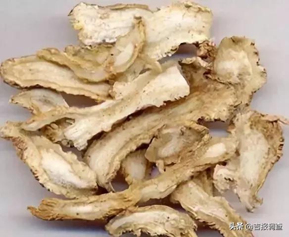 养生中药材当归,养生药材当归