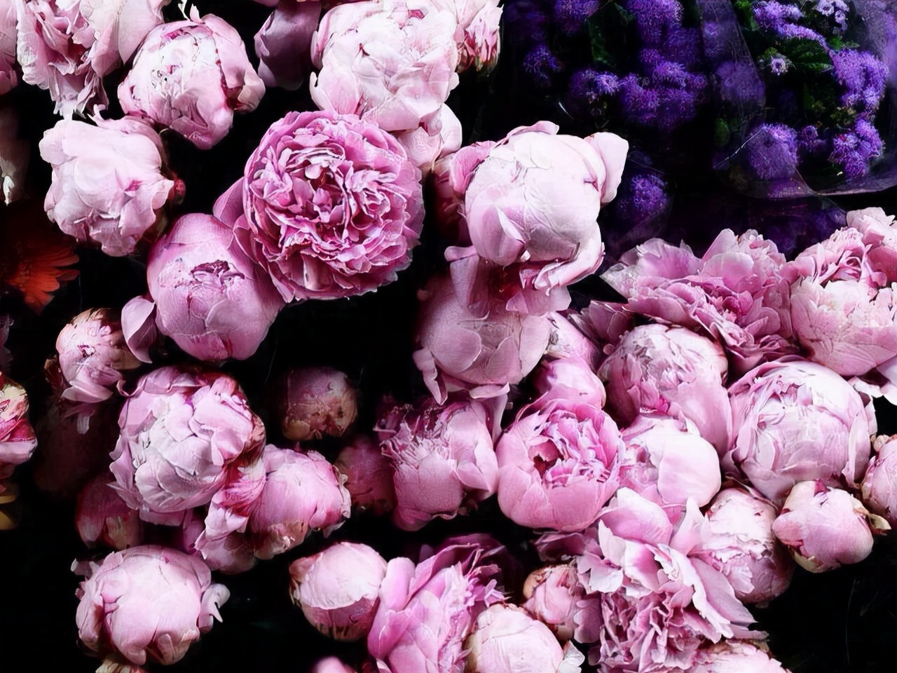 生气了摩羯座说心慌,生气后的摩羯怎么哄