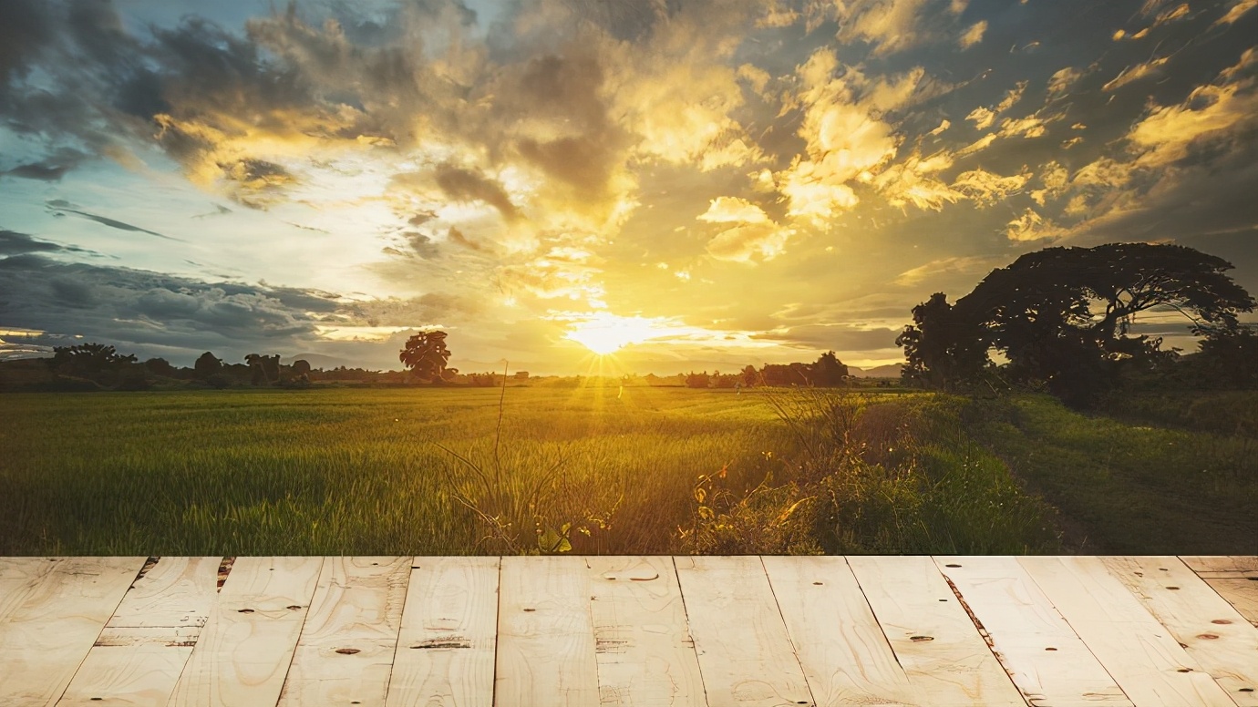 处暑养生的七大注意事项,处暑时节养生的七大注意事项