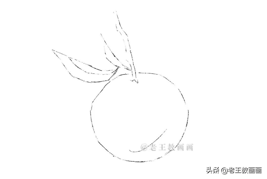 橘子彩铅手绘过程详解,超详细的彩铅橘子教程