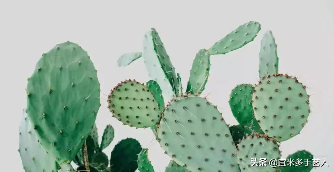 刺鼻的油漆味,刺鼻的油漆味多久能散尽