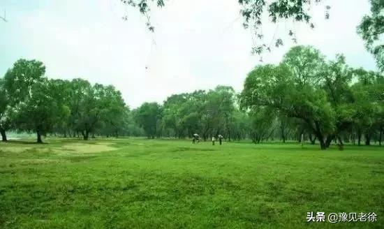 南阳赏花最佳地点,南阳春天赏花的地方有哪些推荐