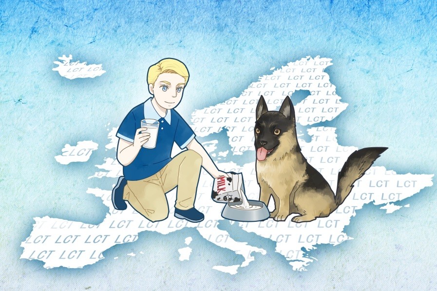 跟着主人的狗狗好吗,跟着主人锻炼的狗狗