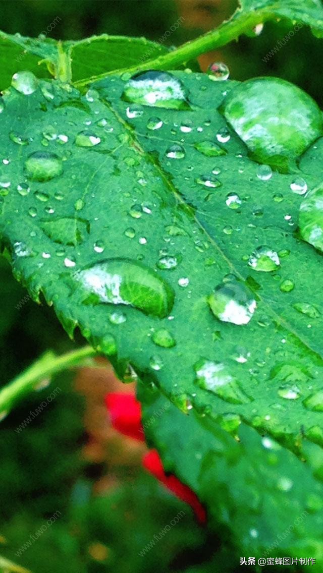 3d立体龙图片逼真壁纸,3d立体壁纸效果图片