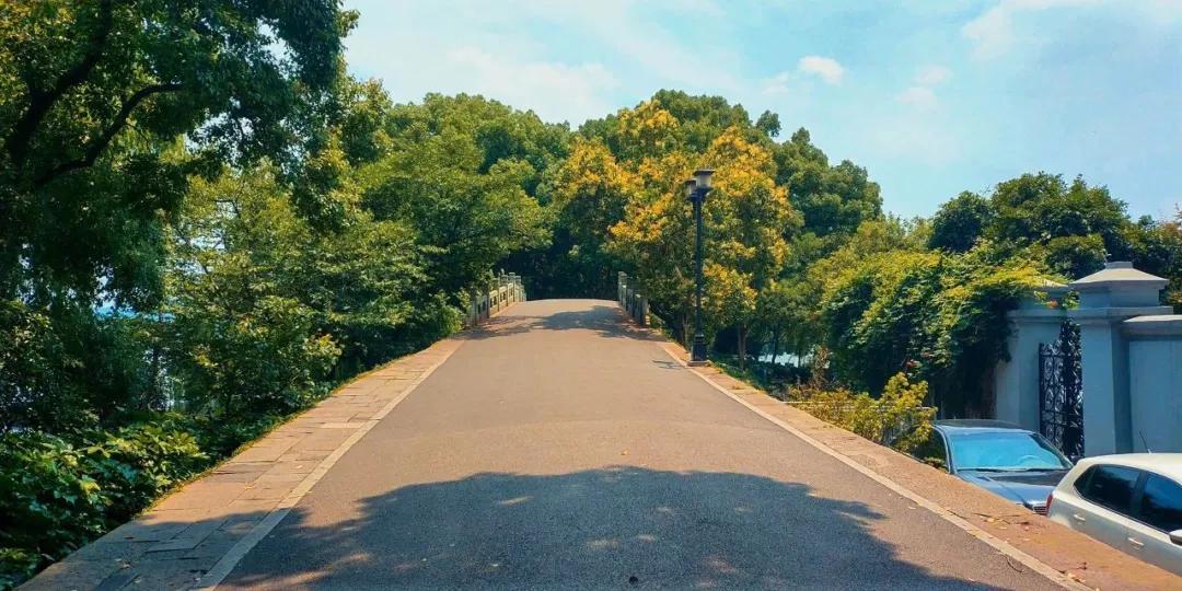 杭州西湖必游景点攻略大全图,杭州西湖新十景游玩顺序攻略