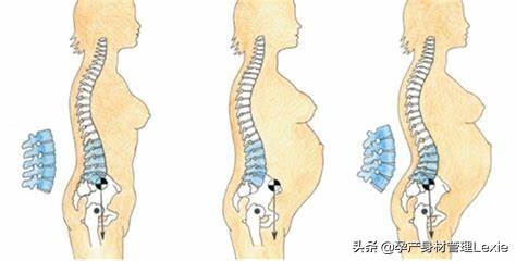 孕期保持锻炼产后修复得快,孕期5个月训练需要注意的事项