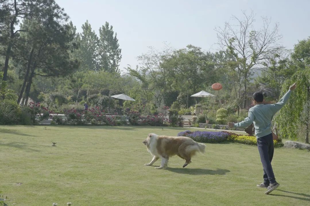 腾讯高管辞职隐居,腾讯元老隐居合肥