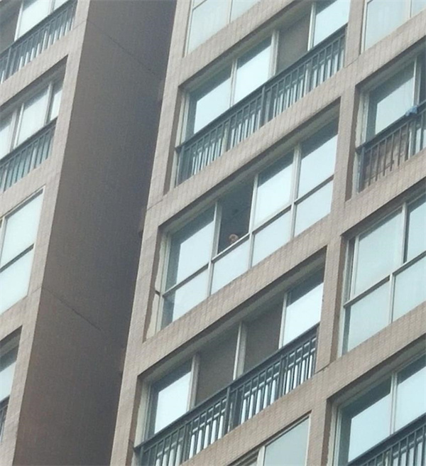 等你绿了我们去领结婚证,等你绿了咱们就领证结婚