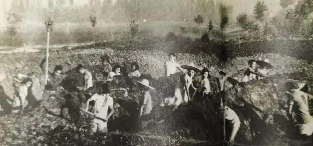 漯河师范学校,这所学校承载着多少人的回忆