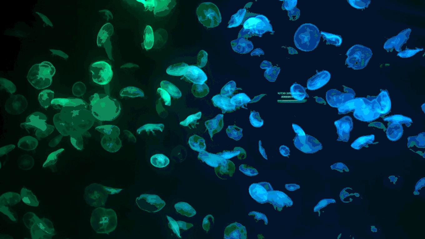 圣淘沙名胜世界攻略,请收下这份旅游攻略