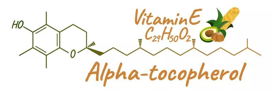 猫咪维生素b补多了有什么坏处,猫咪维生素补多了会怎样