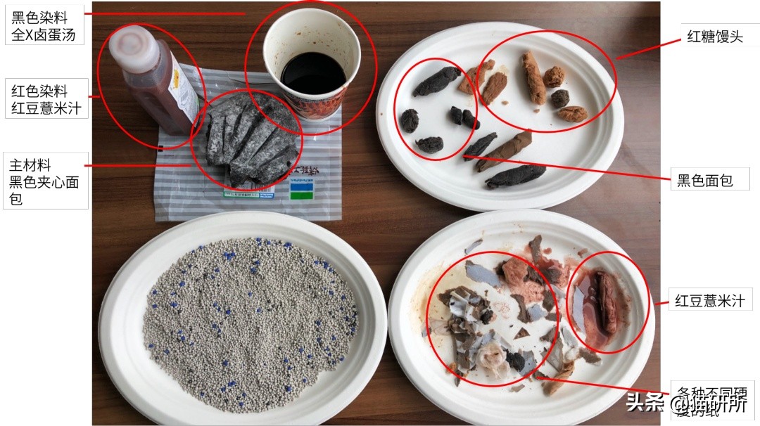 一张图学会判断猫咪拉稀严重程度,一张图学会判断猫咪呕吐
