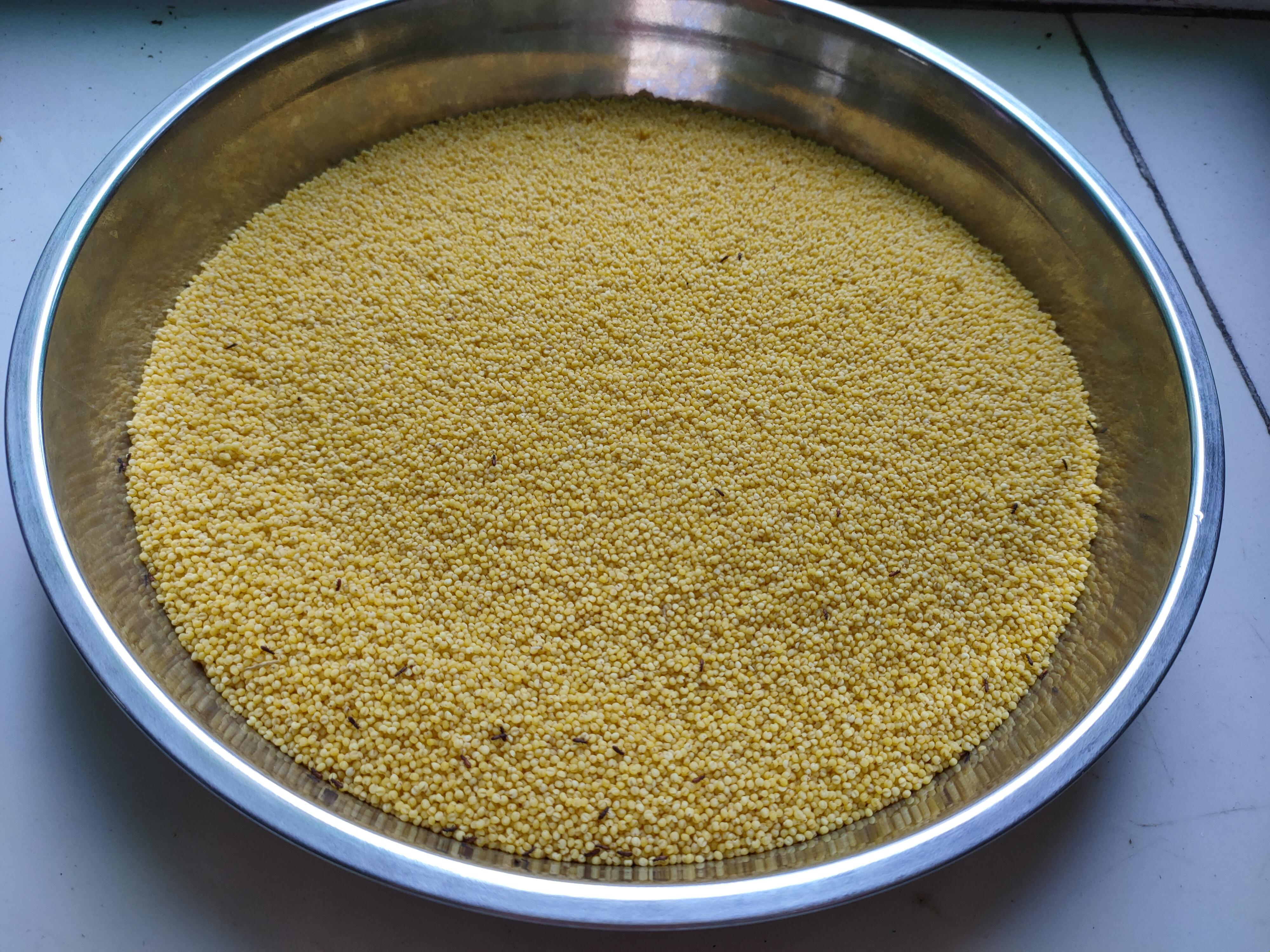 怎样储藏小米才不生虫,怎样贮存小米不生虫