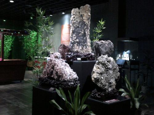 广州4a级景区旅游景点,广州5a旅游景区名单大全