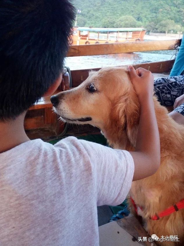 香港亲子游图文攻略图片大全,香港亲子游最佳路线图