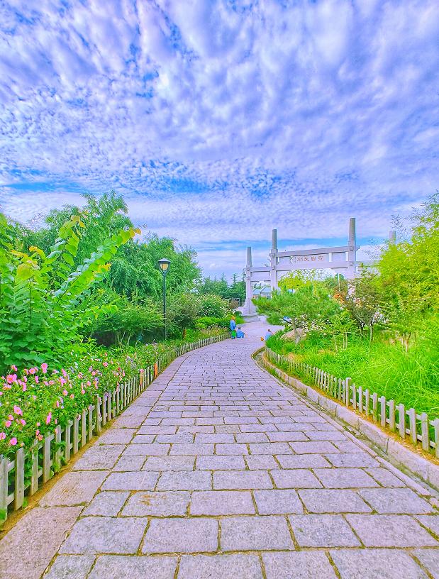 初秋的青岛有多美,初秋的青岛