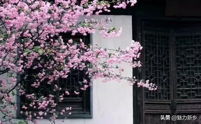 新乡故事大全,卫辉古城的故事