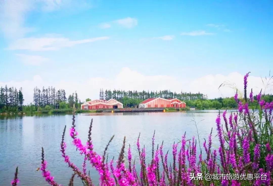 神兽小课堂|蜕变水上勇士，搭乘皮划艇来一场乘风破浪的奇妙旅行