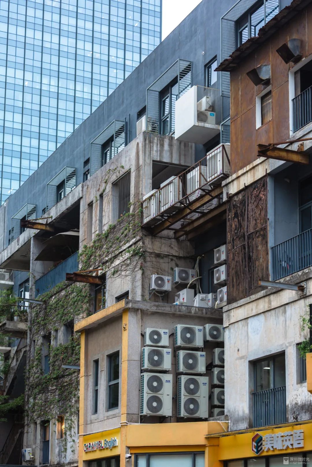 蛇口，一个住下来就不愿意再搬走的地方