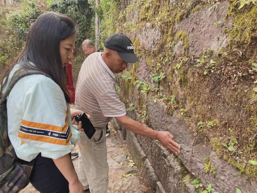 倚邦猫耳朵古树茶的口感特点,倚邦石韵茶坊猫耳朵茶
