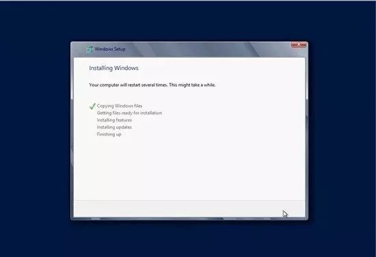 戴尔r210服务器安装系统,dell服务器安装操作系统