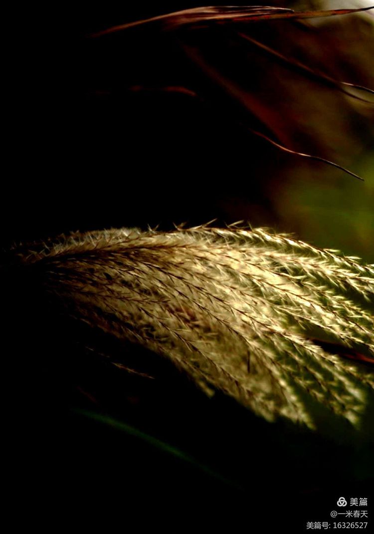 春哥播报原创小说：男生旧楼的回忆（一）