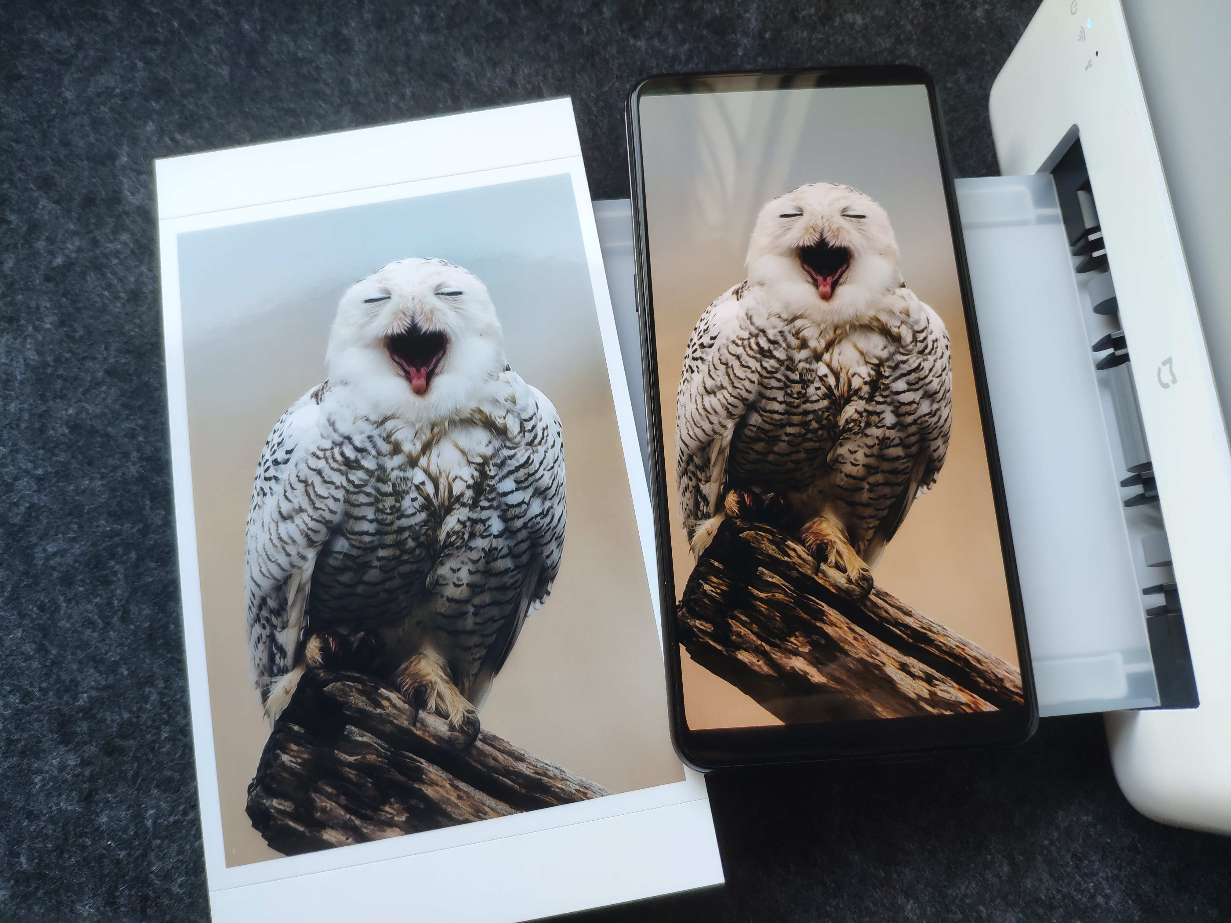 小米打印照片机器便宜好用,小米照片打印机怎么样耗材贵不贵