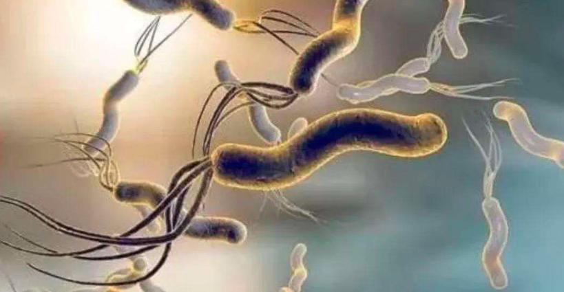 感染人类的病毒有哪些,感染了致癌物细菌会得癌症吗