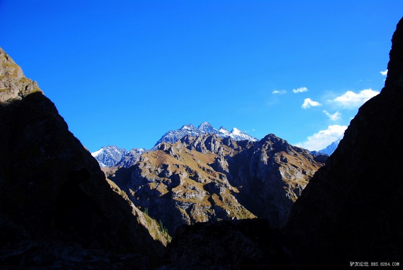 狼c调简谱教唱,狼c