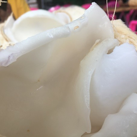 领略海口美丽风光，尝尽海口的各种美食