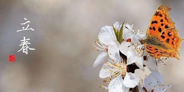 2022年两个立春节气分别是哪天,2020年两个立春