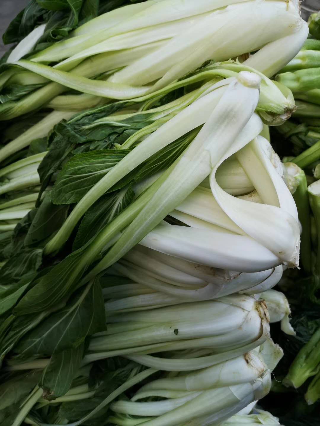 吃腌菜，有助于提高我们身体战胜疫情的免疫力？文/王珉