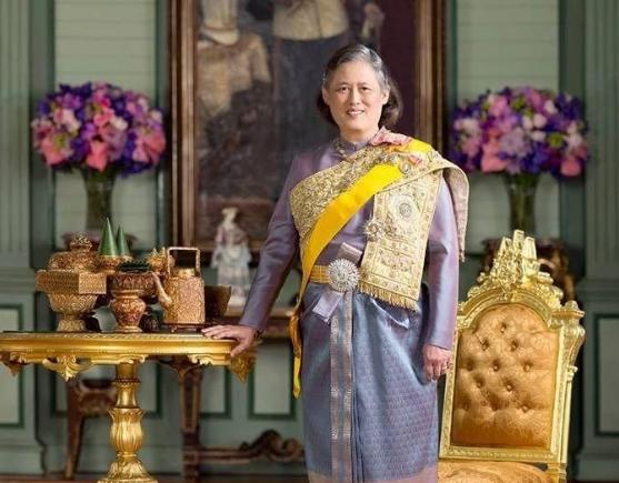 泰国公主诗琳通回泰,泰国公主诗琳通朴素无华