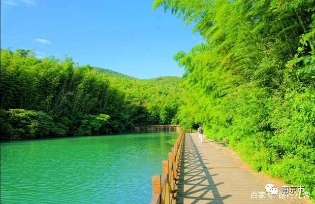 南京江宁石塘竹海景区图片,南京石塘竹海景区