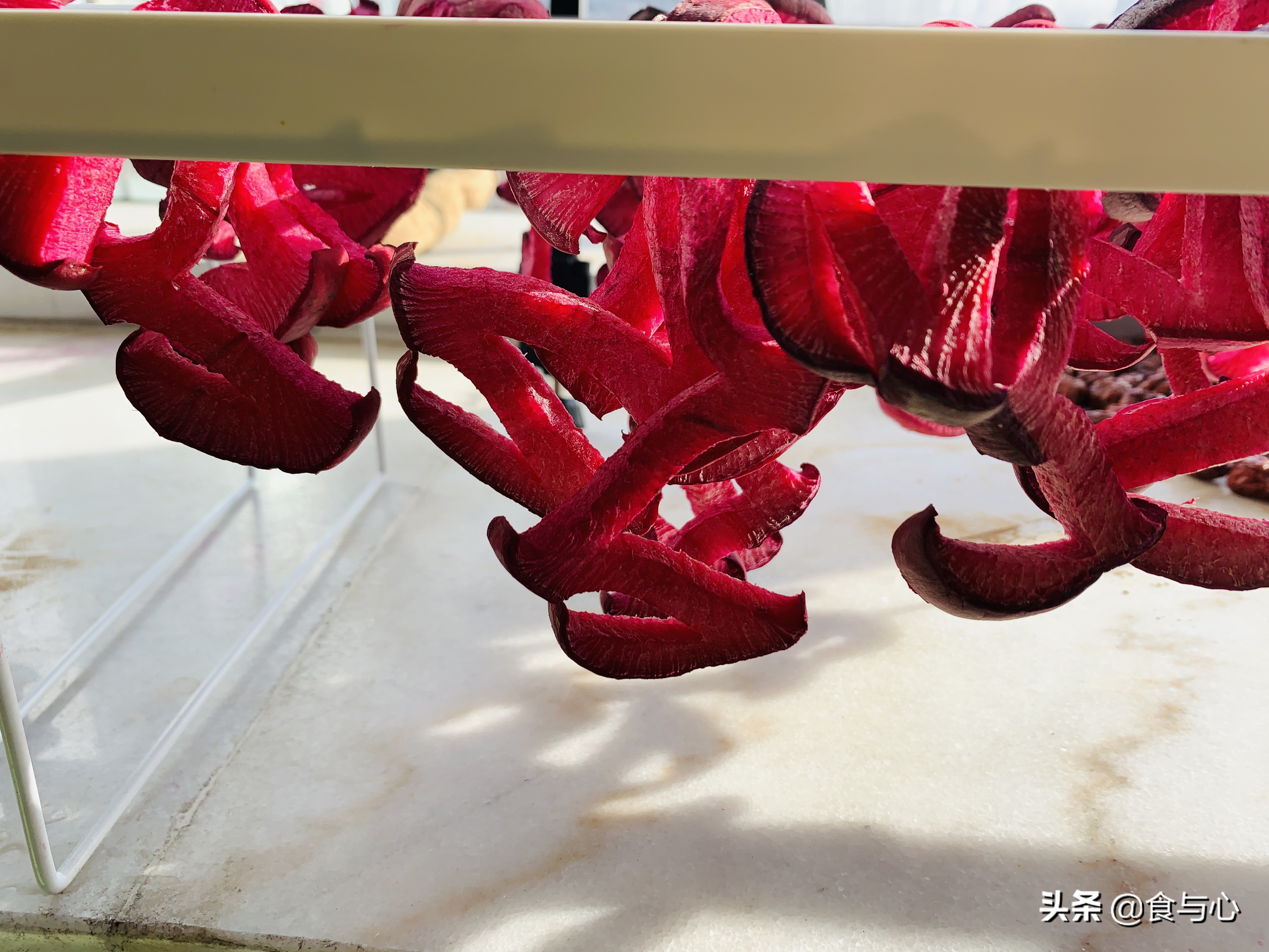 每日健康美食101种,一周健康营养美味食谱