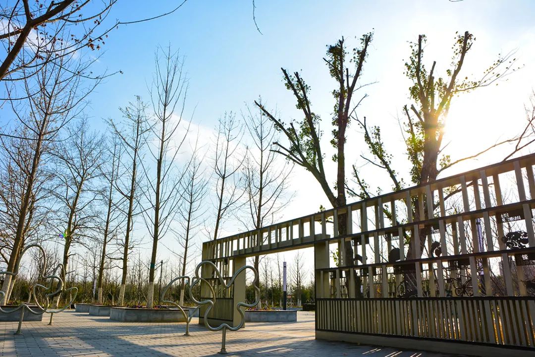 北京新开40个公园在哪里,北京十佳公园