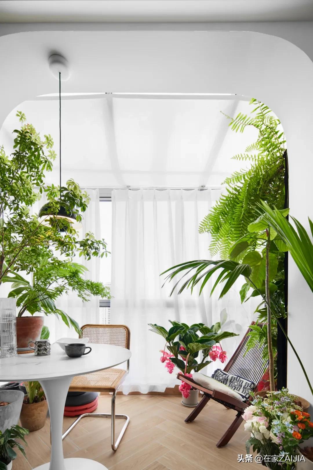 绿植达人爆改70㎡顶层公寓，没有院子却满屋都是花园