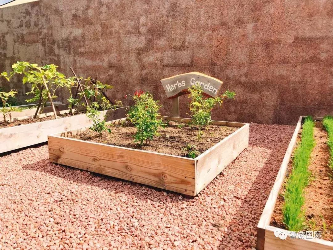 大溪地和塞舌尔岛哪个漂亮,和大溪地齐名的海岛