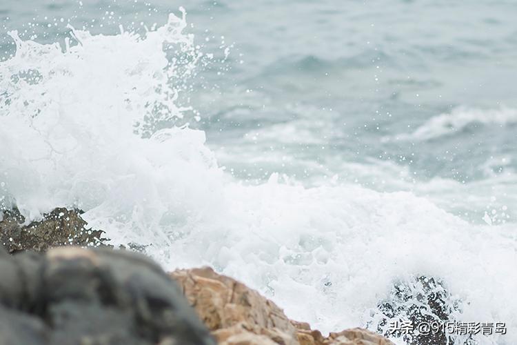 恋恋青岛，春深似海